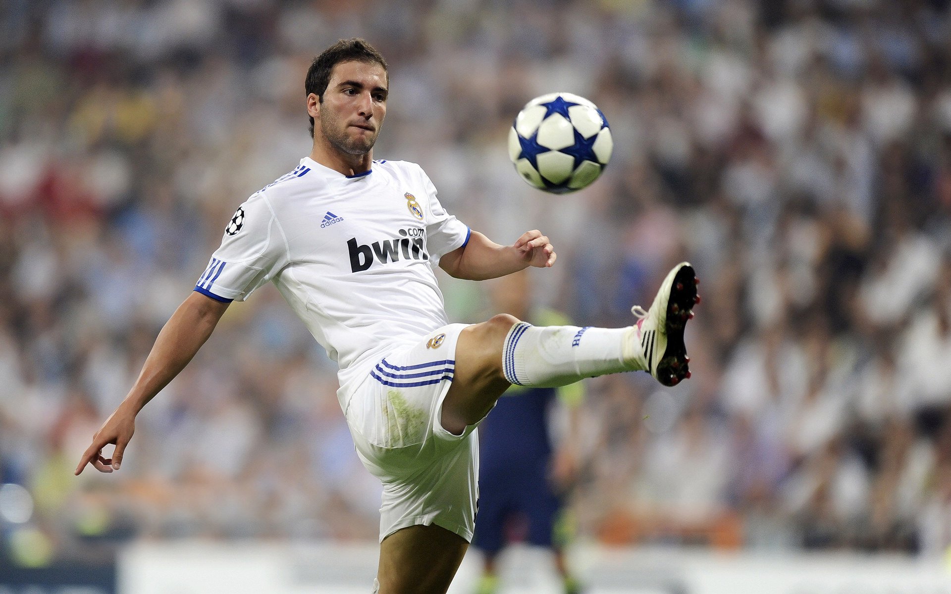 圭亚那体育广场升级改造完工，圭亚那酒店