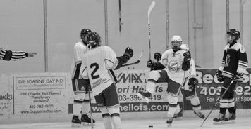 开云体育全站-世界冰球：加拿大队霸气夺冠，金牌大满贯！，冰球加拿大人队